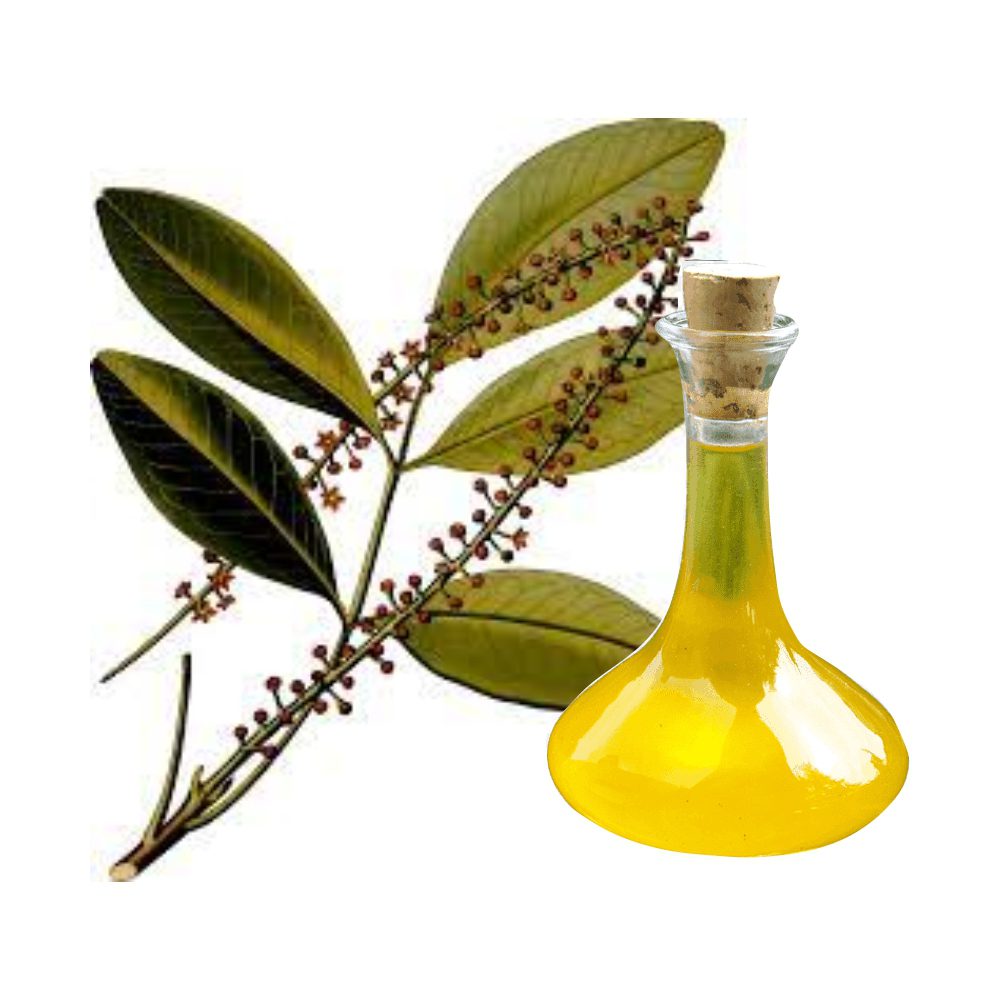 EXTRATO DE JABORANDI - 500g