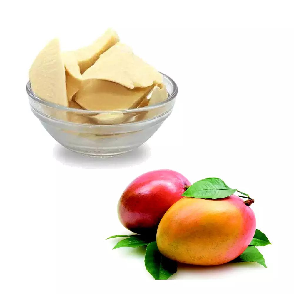 MANTEIGA DE MANGA - 500g