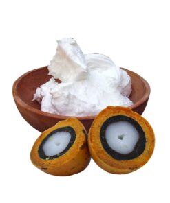 MANTEIGA DE PALMA - 1KG