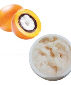 MANTEIGA DE TUCUMÃ - 1KG