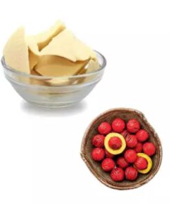 MANTEIGA DE UCUÚBA - 500g