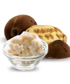 MANTEIGA DE CUPUAÇU - 500g