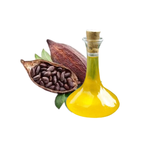 EXTRATO DE CACAU - 1KG
