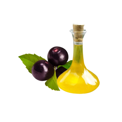 EXTRATO DE AÇAI - 1KG