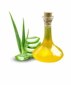 EXTRATO DE ALOE VERA - 1KG