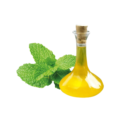 EXTRATO DE MENTA - 1KG